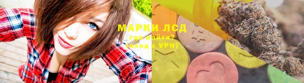 сатива Аркадак