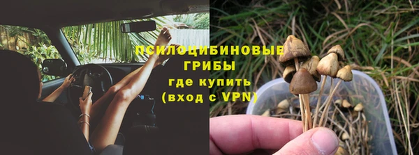 сатива Аркадак