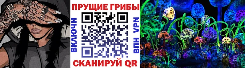 Галлюциногенные грибы прущие грибы  Купить где  Татарск 