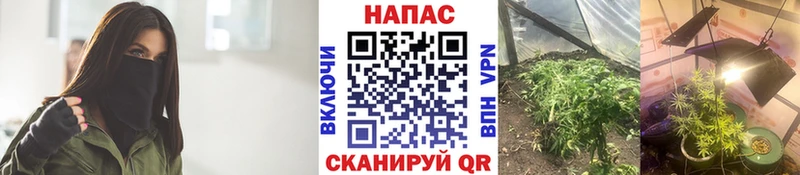 Купить закладки Татарск Бошки марихуана индика